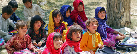 一键清理垃圾的DDOS网页端源码